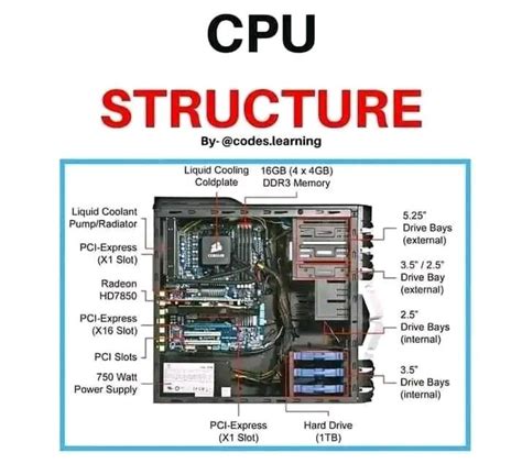 Computer CPU structure | Computer basic, Learn computer coding, Computer basics