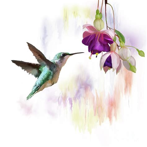 Hummingbird and flowers watercolor Digital Art by Svetlana Foote - Pixels