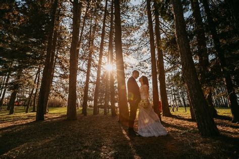 Free picture: sunset, bride, sunrise, romantic, groom, just married, forest, shadow, backlight, park