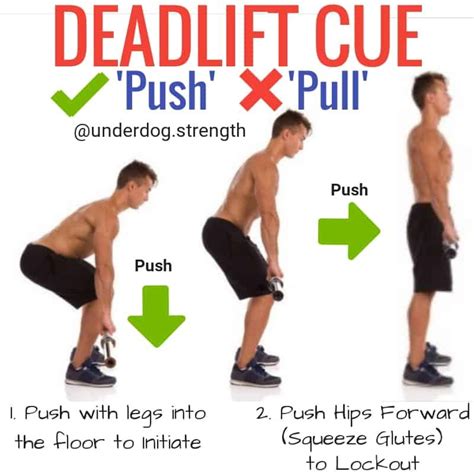 How to Deadlift Properly (For Beginners) - Underdog Strength Training | Gym workout tips ...