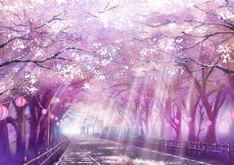 Sakura Night Wallpapers - Wallpaper Cave