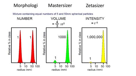 Particle Size Analysis | Materials Research Institute