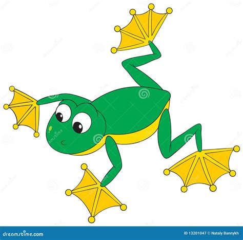 Flying Frog Royalty Free Stock Photography - Image: 13201047