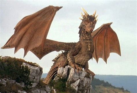 Draco voiced by Sean Connery in the film Dragonheart. | Dragon movies, Realistic dragon, Fantasy ...