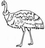 Emu 3 Coloring Page  Free Printable Pages For Kids sketch template