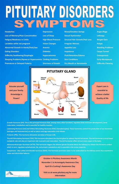 Pituitary Gland Disorders In Women | Images and Photos finder