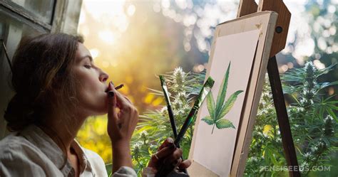 11 Best Cannabis Strains for Creativity - Sensi Seeds