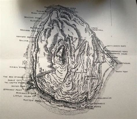 Interesting detailed Map of Ailsa Craig from Rev Roderick Lawson book.1800's.