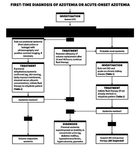 Azotemia & Acute Kidney Injury | Clinician's Brief