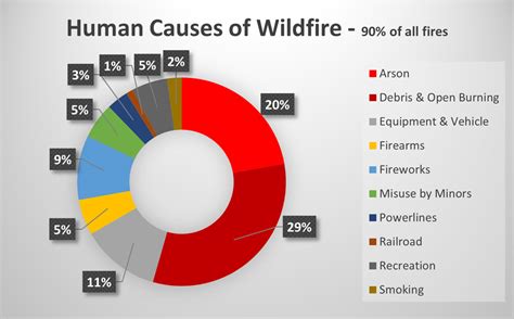 Cause Of Canada Wildfires 2024 - Zora Annabel