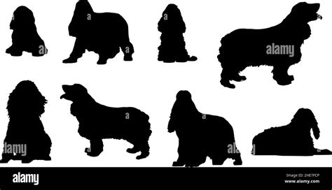 cocker spaniel dog silhouette bundle svg Stock Vector Image & Art - Alamy