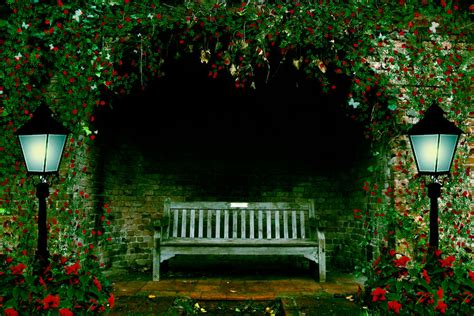 Night Garden Premade Background by SusanaDS-Stocks on DeviantArt