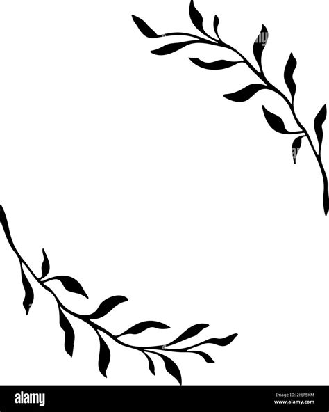 Leaves branch vector. Floral frame. Hand drawn border. . Vector ...