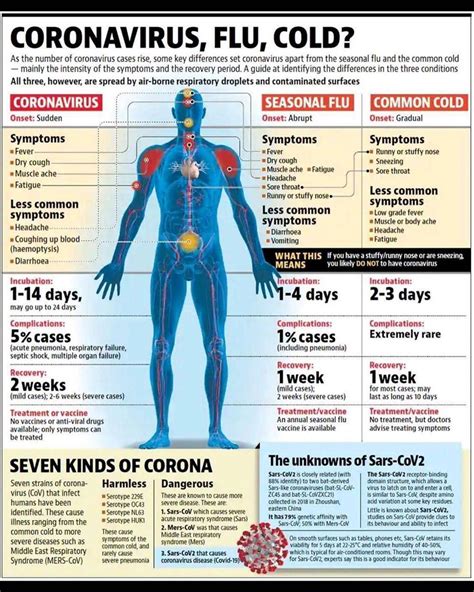 Normal covid symptoms timeline - inrikorush