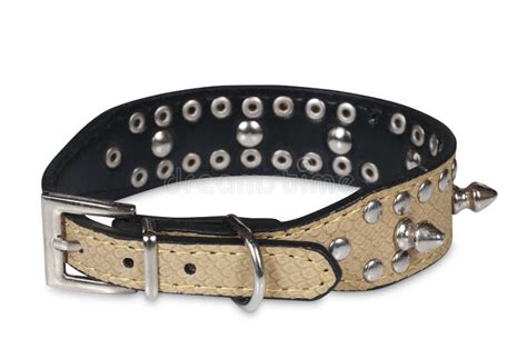 Collar for Dog with Spikes Isolated Stock Image - Image of isolated ...