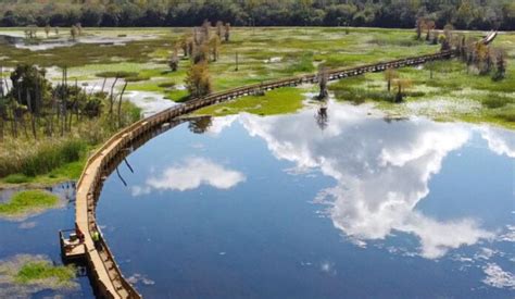 New boardwalk opening at Orlando Wetlands Park - Orlando-News.com