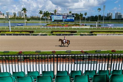 Florida Horse Racing Tracks - Home Design Ideas