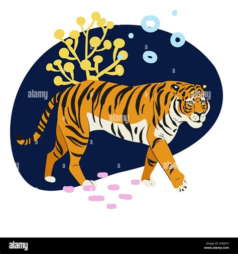 Amur tiger goes isolated on white background. Vector tiger side view Stock Photo - Alamy