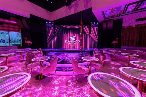 The Pink Flamingo Spiegelclub (Broadbeach): UPDATED 2020 All You Need ...