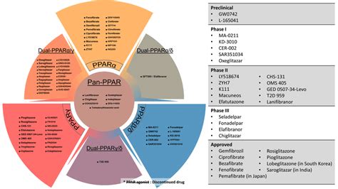 PPAR agonists, their PPAR target(s) and current status in clinical... | Download Scientific Diagram