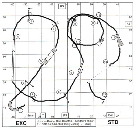 6 Tips to Memorize a Dog Agility Course and Stop Getting Lost - PetHelpful