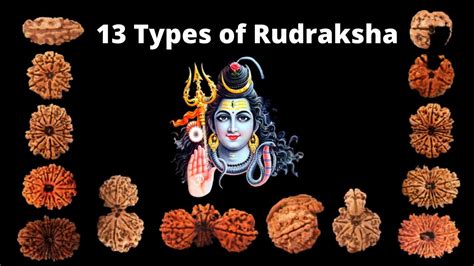 13 Types of Rudraksha Beads and their benefits | #rudrakshabeads # ...