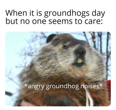 Punxsutawney Phil is frickin mad : r/memes