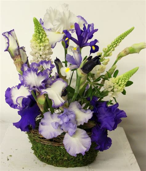 World of Irises: "Talking Irises" DISPLAYING IRISES Using a variety of ...