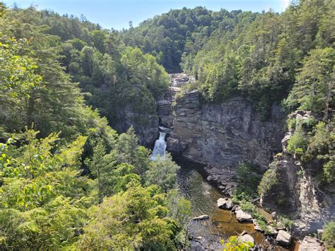 Pisgah National Forest - Go Wandering