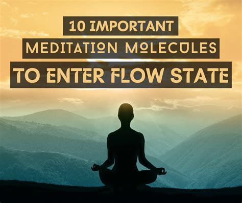 10 Important Meditation Molecules to Enter the Flow State | Flow state, Flow, The flow