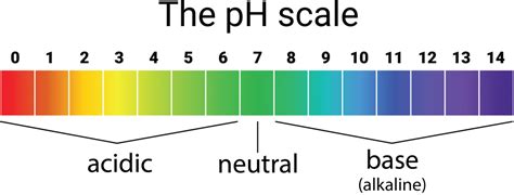 What Is A Neutral pH? - Disinfect Tips