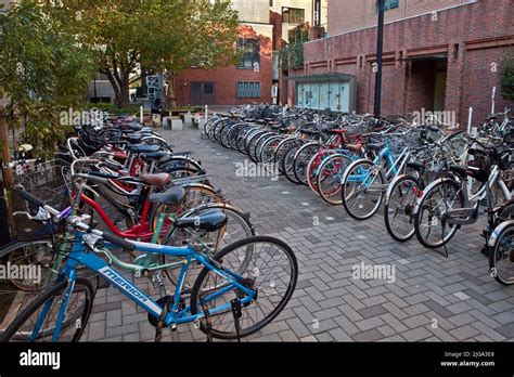 Bicycles Rikkyo University campus Ikebukuro Tokyo Japan Stock Photo - Alamy