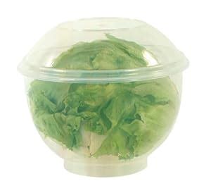 Amazon.com: Fox Run Lettuce Crisper: Kitchen & Dining