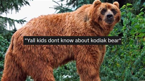 Y'all Don't Know About the Kodiak Bear | Know Your Meme