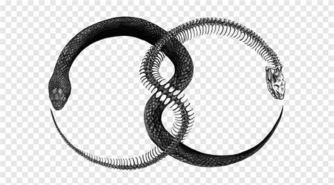 Ouroboros Apollonian و Dionysian عودة الأبدية ، وغيرها, dragon, metal png