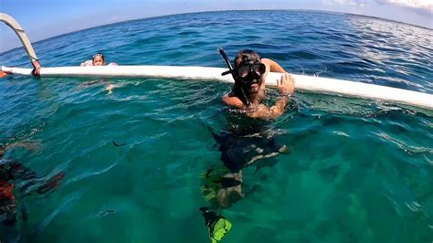 Snorkeling in Sanur ( Bali ) - YouTube