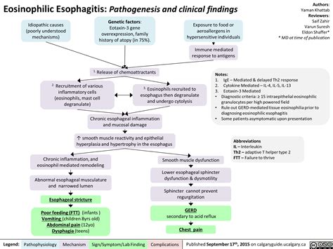 Eosinophilic Esophagitis: Pathogenesis and Clinical Findings | Calgary ...