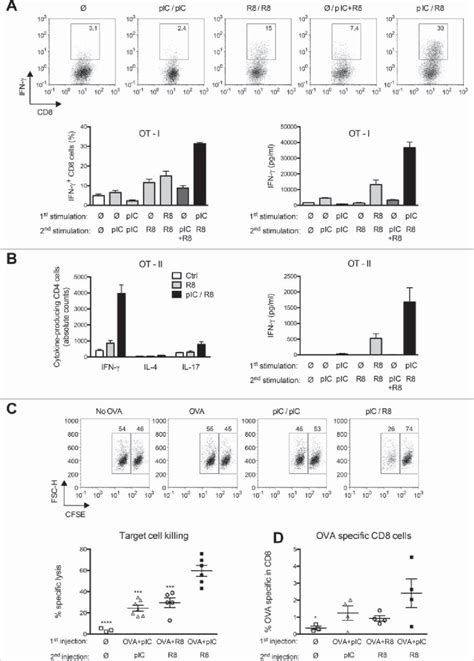 Sequential PRR activation induces higher cytotoxic T-cell responses and... | Download Scientific ...