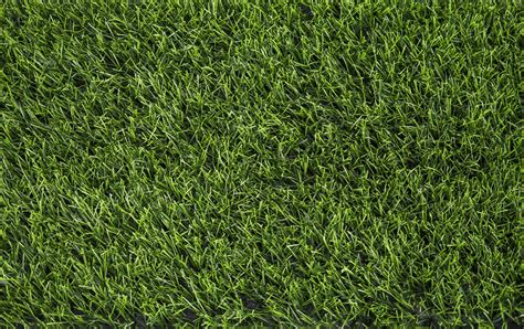 Artificial green grass texture containing artificial, grass, and field ...