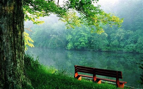 SOOTHING PEACE OF MIND NATURE : 2015, Mind Relaxing HD wallpaper | Pxfuel