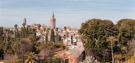 Hotel Alcázar | Seville | Official Website