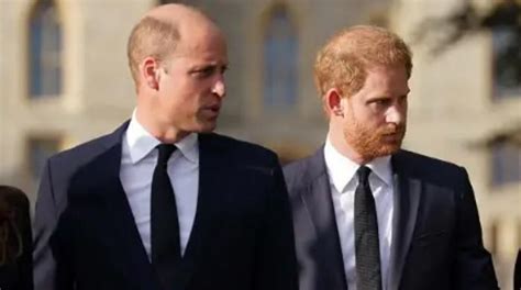 Prince William, Harry ‘delayed’ their reunion with ‘extended’ talks ...