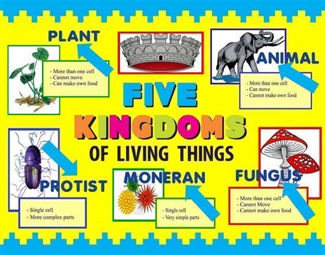 Make a Science Fair Project | Poster Ideas - Five Kingdoms of Living ...