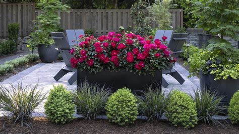 Architectural Simplicity: Formal garden design made easy