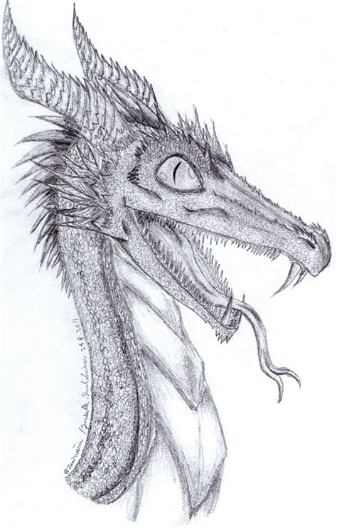 Dragon pencil sketch- by Zairieene on DeviantArt