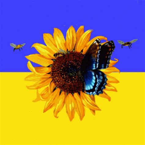 Ukraine Ukraine Flag GIF - Ukraine Ukraine Flag Ukraine Sunflower - Discover & Share GIFs Flag ...