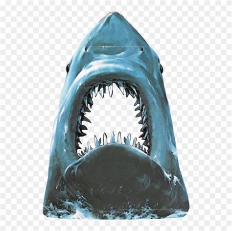 Jaws Shark Size - Jaws 2 Movie Poster - Free Transparent PNG Clipart ...