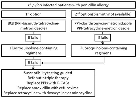 Rescue therapy for refractory Helicobacter pylori infection: current status and future concepts ...