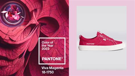 Pantone Color Of The Year 2023 - PELAJARAN