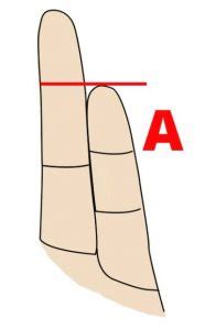 Finger Length Meaning - What Does Your Fingers’ Length Say About Your Personality? | Curious ...